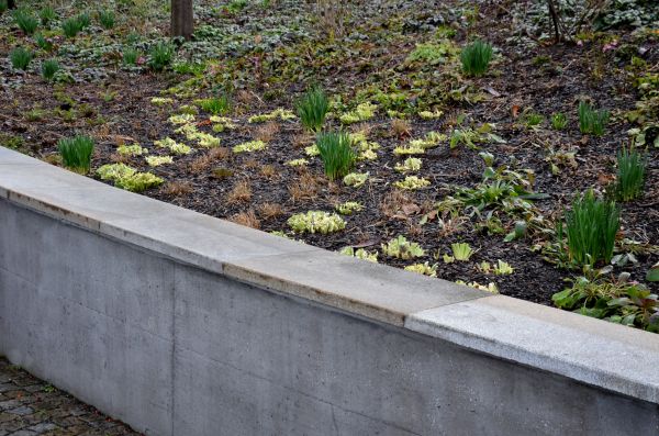 Cost of Concrete Wall Pouring in Burlington