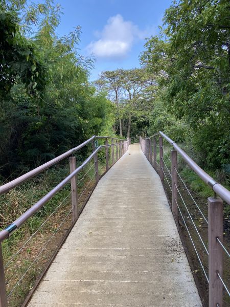 Cost of Footpath Construction in Burlington