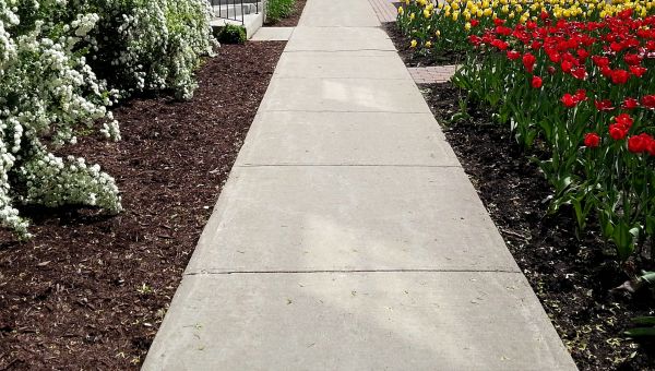 Cost of Sidewalk Slab Replacement in Burlington