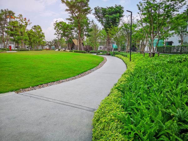 Cost of Cement Walkway Service in Burlington